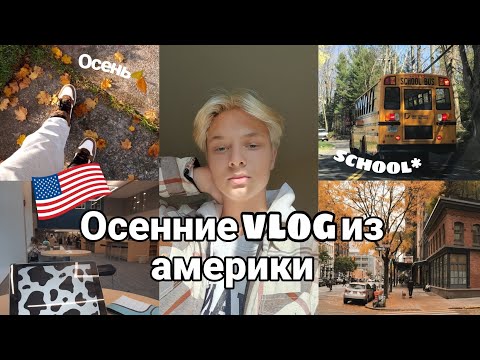 Видео: Осенний VLOG из Америки🍂 / школа| уютный осенний влог