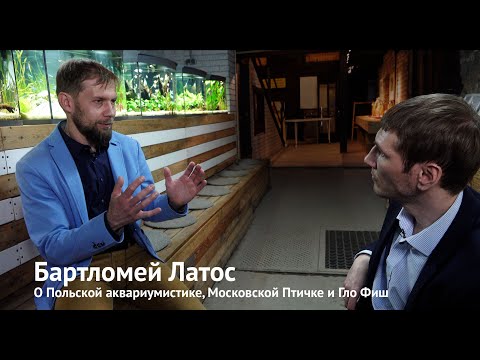 Видео: Бартломей Латос о Польской аквариумистике, Московской птичке и Гло-фиш