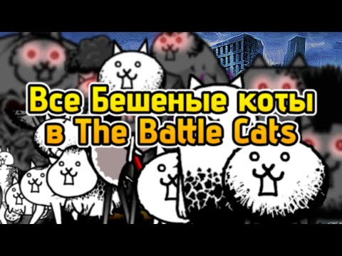 Видео: Все Бешеные коты в Battle Cats | Основная информация и то что нужно знать