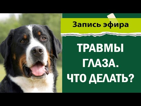 Видео: Мы расскажем, что делать после травмы глаз