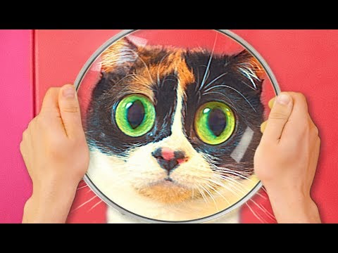 Видео: СДЕЛАЛИ СУПЕР ЛИНЗУ