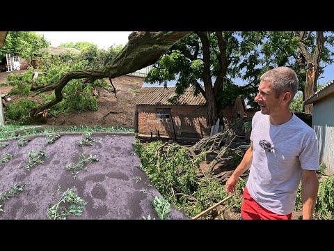 Видео: Прилетел нежданчик ... весь день разгребали