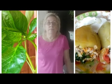 Видео: Vlog: Я - ХОЗЯЙКА:  ПЕРЦЫ,ПЕРЦЫ - ОДНИ ЦВЕТУТ, ДРУГИЕ ФАРШИРУЮ