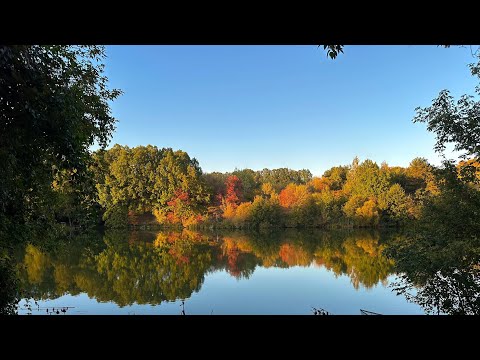 Видео: Закрытие карпового сезона 2025