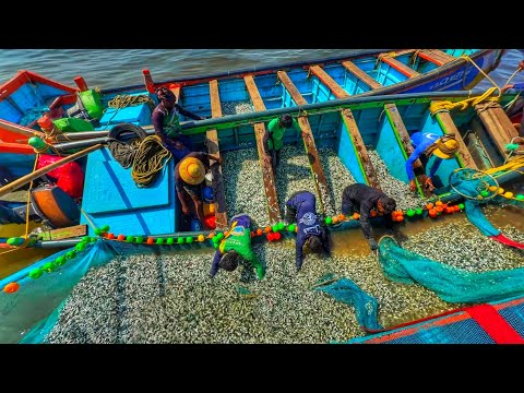 Видео: НЕВЕРОЯТНЫЙ УЛОВ 🤩 Тонны сардин 🐟 | Рыболовное приключение в Керале | Экшн без остановок