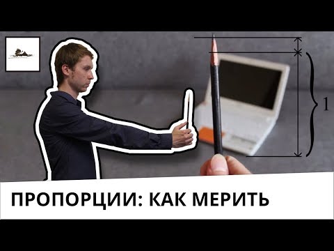 Видео: Как мерить карандашом пропорции в рисунке