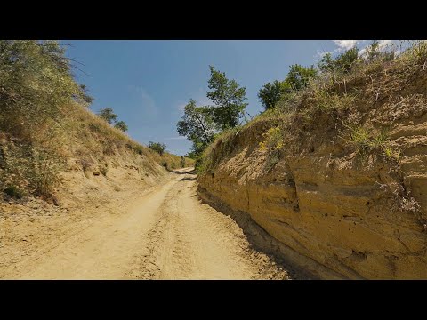 Видео: Фосилната ризница на Македонија