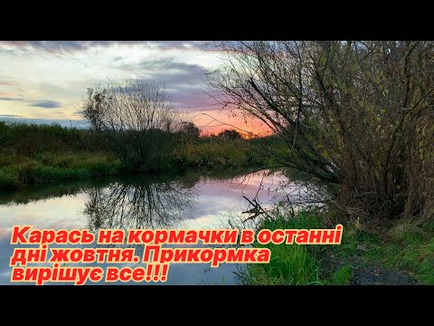 Видео: Карась на кормачки в останні дні жовтня. Прикормка вирішує все !