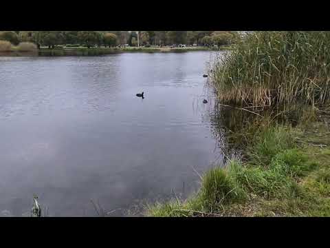 Видео: Сад Прометей. (Санкт-Петербург)