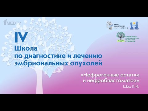Видео: Шац Л.И. - Нефрогенные остатки и нефробластоматоз