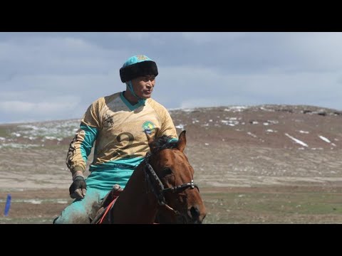 Видео: Қазығұрт ауданы Алтынтөбе Аққұм Тұрдықұловтар әулеті Даурен мырзаның елден бата алу той көкпары