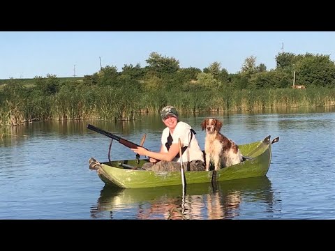 Видео: Охота с Эпаньол Бретоном