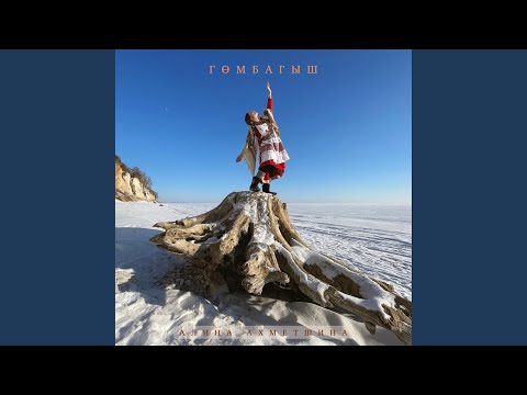 Видео: Гомбагыш