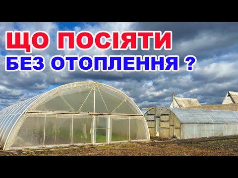 Видео: Що можна сіяти в теплицю без опалення ?