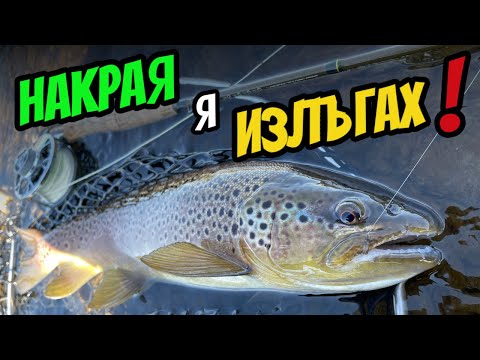 Видео: НАЙ-КРАСИВИЯТ Риболов на Пъстърва - Сухата Муха!