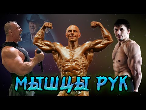 Видео: Бицепсы от А до Я с Андреем Замятиным и Диасом Апокрифом