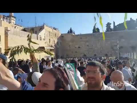 Видео: Ошана раба, Шмини Ацерет , Симхат Тора ч.2