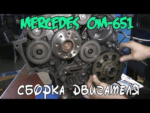 Видео: Сборка двигателя Mercedes Benz ОМ-651