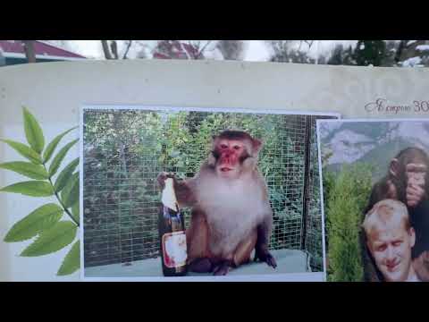 Видео: Читая Олега Зубкова! ПОЯВЛЕНИЕ НАЛОГОВОЙ!