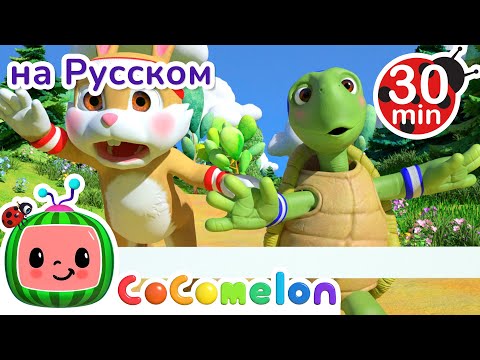 Видео: Гонки Черепахи и Зайца | 30 минут |  @CoComelonRussian ​ - мультики для детей