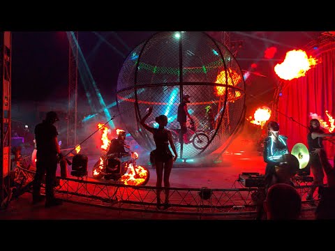 Видео: #цирк  #Демидовы Нижний Новгород 17 10 25