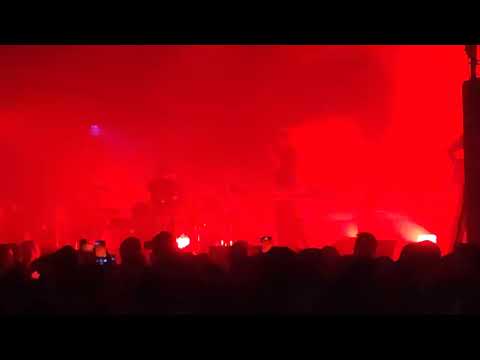 Видео: "Звезда" Дельфин в клубе Аврора 14.02.2025г.