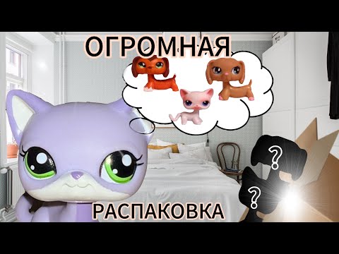 Видео: LPS | ОГРОМНАЯ РАСПАКОВКА НОВИНОК