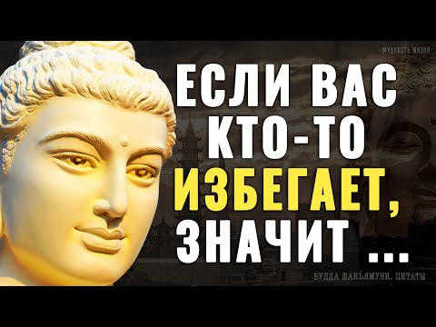 Видео: Как же Мудро сказано! Будда Шакьямуни, Точные Цитаты которые заставляют задуматься