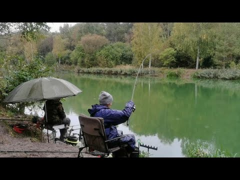 Видео: ОКТЯБРЬ// РЫБАЛКА НА ФИДЕР НА ХОЛОДНОМ КАНАЛЕ //БЕЛООЗЁРСК.