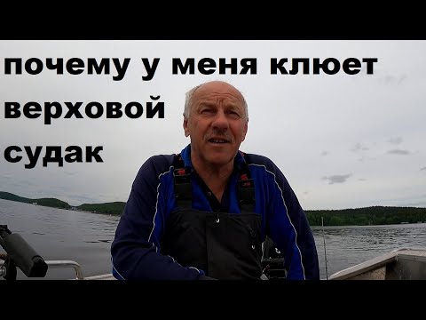 Видео: Почему у меня клюет верховой судак.