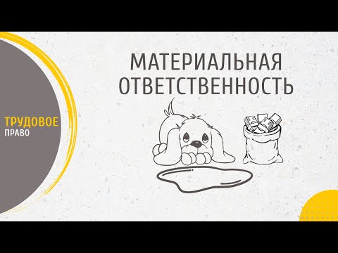 Видео: Материальная ответственность или Как копейка рубль бережёт