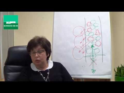 Видео: Вебинар 1.  Универсальная причина болезней человека