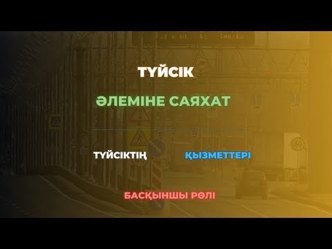 Видео: ТҮЙСІК ӘЛЕМІНЕ САЯХАТ | ТҮЙСІКТІҢ ҚЫЗМЕТТЕРІ | 1-ШІ ӨМІР СҮРУ МОДЕЛІН ҚАЛЫПТАСТЫРУ | БАСҚЫНШЫ РӨЛІ 📚