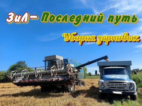 Видео: Последний выезд ЗИЛ-130 на бензине/Уборка зерновых2022/Слабый урожай/Тракторный-ЗиЛ