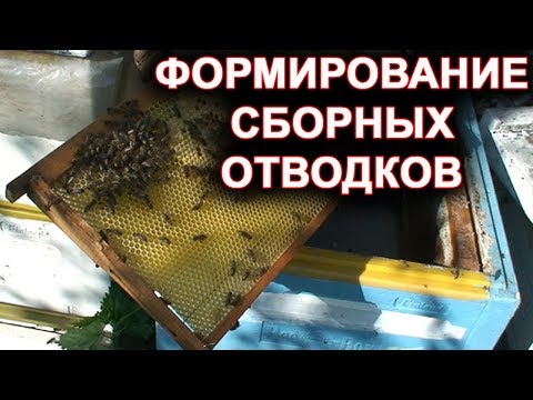 Видео: Сборные отводки. Как сделать отводок.