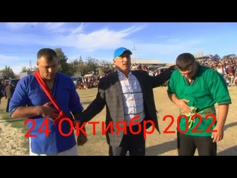Видео: Кураш Чорбог 24 10 2022