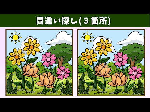 Видео: Найдите 3 отличия | Иллюстрация Версия #1136