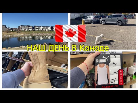 Видео: Обычный день в Канаде. Прогулка с собакой и поход в магазин/ Canada #жизньвканаде #ценывканаде