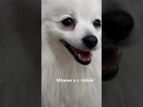 Видео: Да да, так всегда