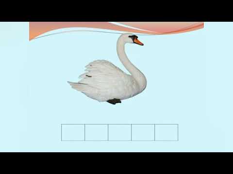 Видео: Підготовка до навчання грамоти:"Звуковий аналіз слова"(старша група)