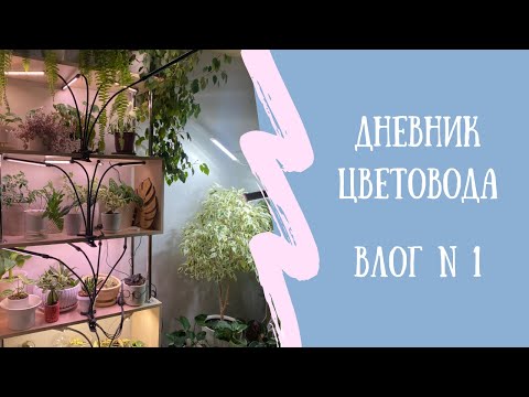 Видео: 📖Дневник цветовода. Мой первый влог🎉