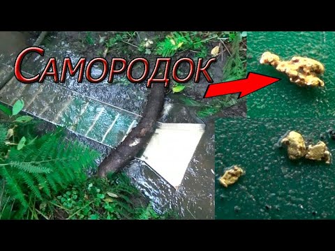 Видео: По тихому мою золото минишлюзом! САМОРОДОК!!!!