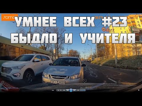 Видео: УМНЕЕ ВСЕХ #23. БЫДЛО И УЧИТЕЛЯ НА ДОРОГЕ