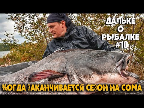 Видео: Ловля СОМА при холодной воде | #Дальке о рыбалке 10