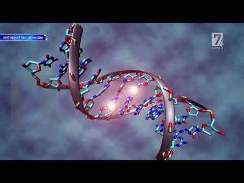 Видео: Алгачкы жолу Бишкекте ДНК аркылуу анализдер аныкталат