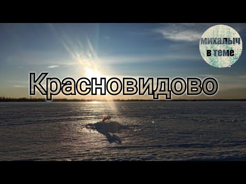 Видео: Двое суток на Можайском водохранилище/ Зимняя рыбалка.