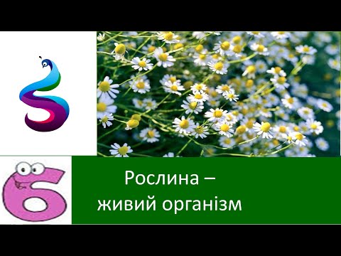 Видео: Рослина – живий організм