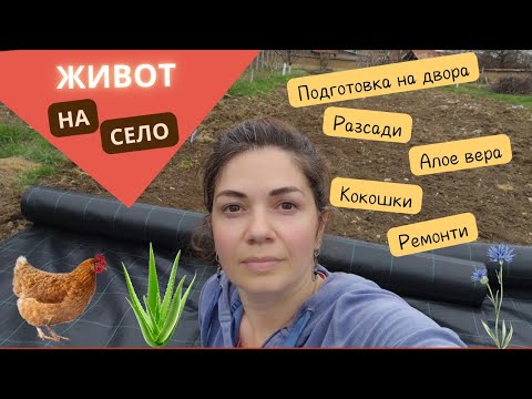 Видео: Ремонти, напредък в двора – отглеждане на алое, цветя и грижи за кокошките #влог #животнасело