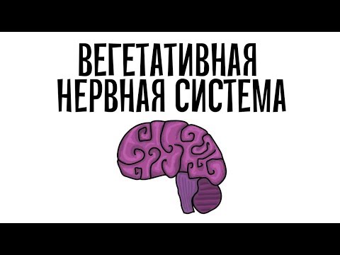 Видео: Фармакология. Вегетативная нервная система (простым языком)