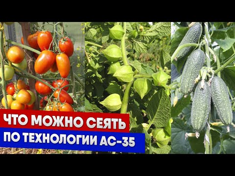 Видео: Что можно сеять по технологии АС-35